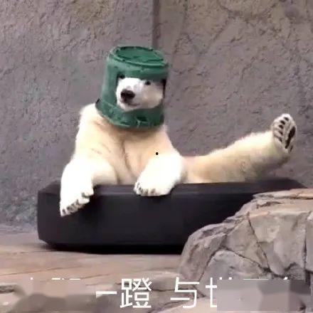 沙雕吃瓜爆料视频下载,一场网络爆料的狂欢盛宴  第1张